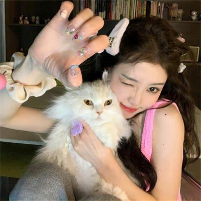 猪就是猪