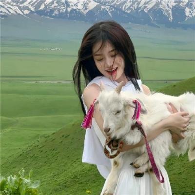 惨烈的七日
