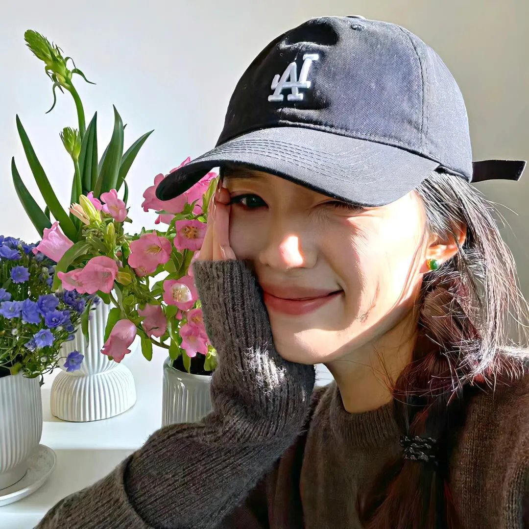 飞吧!